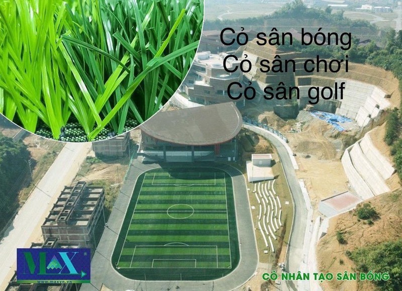 Thảm Cỏ Sân Bóng: Lựa Chọn Hoàn Hảo Cho Mọi Điều Kiện Thi Đấu