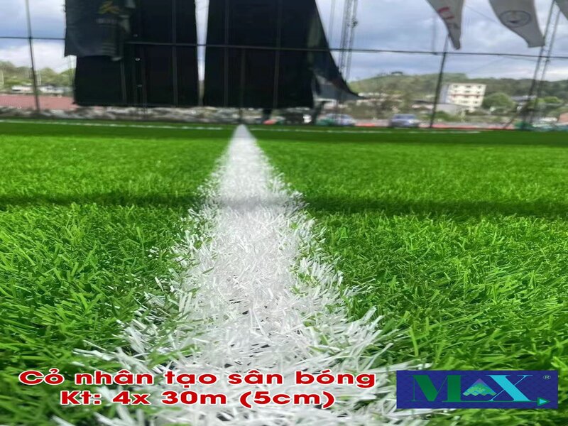Báo Giá Cỏ Nhân Tạo Sân Bóng: Lựa Chọn Phù Hợp Cho Mọi Nhu Cầu