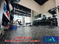 Giá Gạch Cao Su Phòng Gym: Lựa Chọn Hoàn Hảo Cho Không Gian Tập Luyện