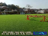 Thanh Lý Thảm Cỏ Nhân Tạo Cũ – Tiết Kiệm Chi Phí, Chất Lượng Cao