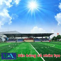 Cỏ Sân Bóng: Bí Quyết Để Sân Cỏ Luôn Xanh Tươi Và Bền Bỉ